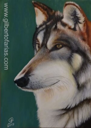 Lobo Mexicano