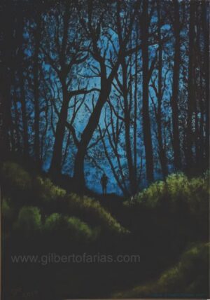Noche en el Bosque
