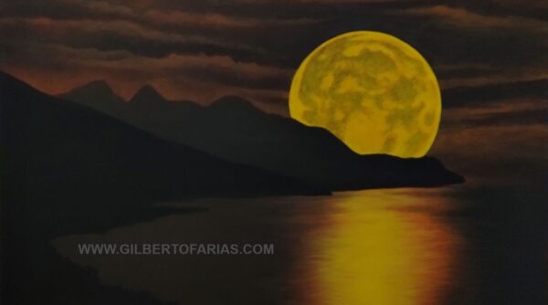 Reflejo Nocturno