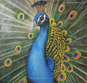 Pavo Real