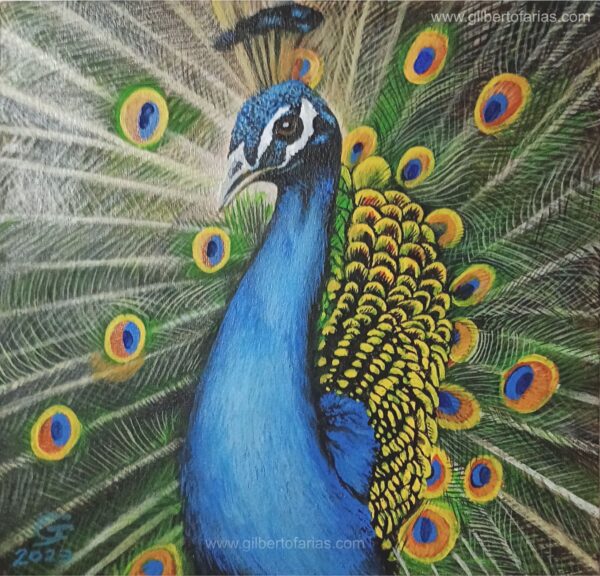 Pavo Real