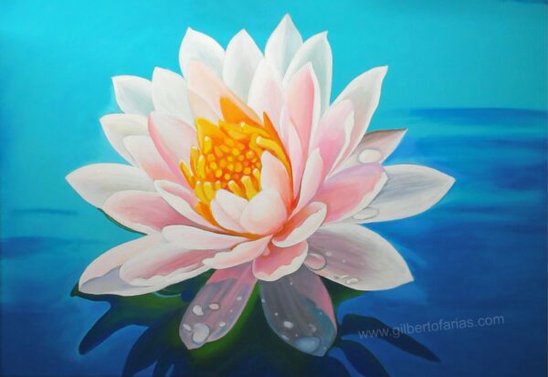 Flor de Loto