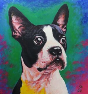 Bulldog Francés