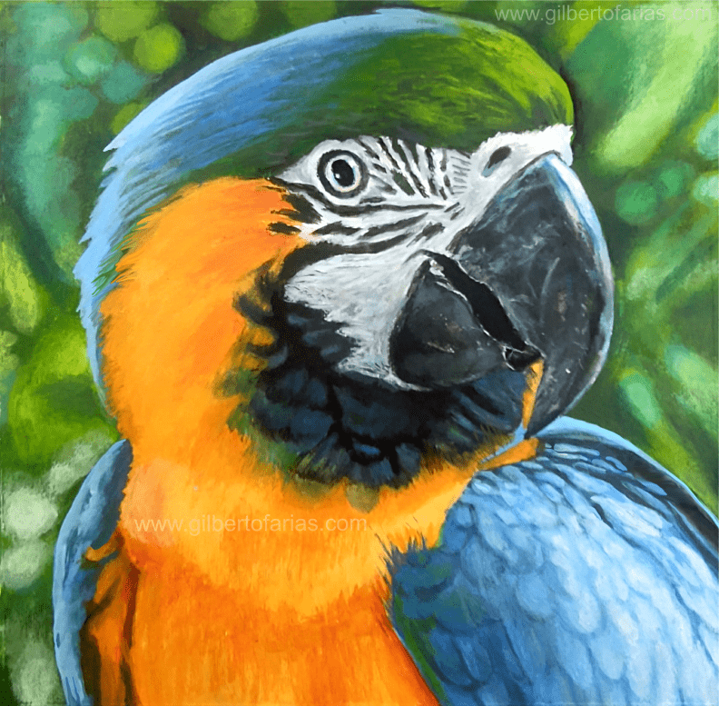 Obra Gilberto Farías
