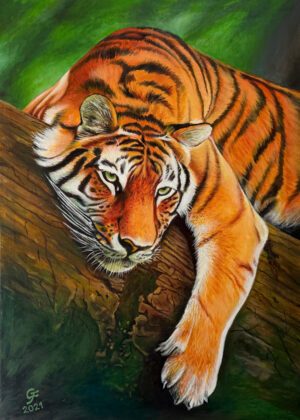 Tigre de Bengala